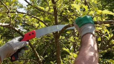 بهترین مارک اره دستی برای بریدن انواع درخت