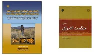 بهترین گزارش انفجار شهاب سنگ عظیم بر فراز دریا | نادر
